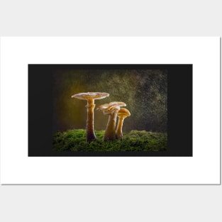 Honey Fungus in Rain Posters and Art